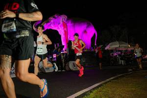 BIB: 
                            <button type="button" onclick="openModal(26544228)" class="btn btn-primary btn-sm float-right btn-popup" data-toggle="modal" data-target=".modal-high-quality">
                        <i class="fas fa-shopping-cart"></i> Add to Cart
                    </button>
                                            <button type="button" onclick="isThisMe(26544228, true)" class="btn btn-success btn-sm float-right btn-popup btn-isme hidden" data-toggle="tooltip" data-placement="bottom" title="นี่คือรูปของคุณใช่ไหม คลิกที่นี่เพื่อเอาเข้าอัลบั้ม">
                        <i class="fas fa-plus"></i> Add to album
                    </button>
                    <button type="button" onclick="isThisMe(26544228, false)" class="btn btn-warning btn-sm float-right btn-popup btn-isnotme hidden">
                        <i class="fas fa-ban"></i> Remove from album
                    </button>